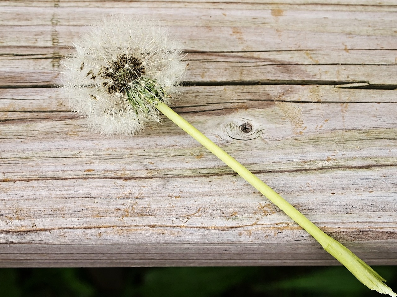 10 Fun Crafts for Celebrating Earth Day